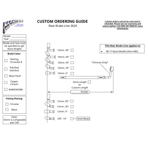 Custom Rear Brake Line 3620