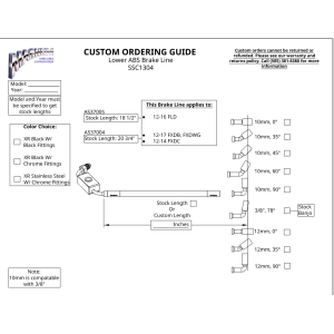 Custom ABS Brake Line Kit - Upper & Lower - SSC1316